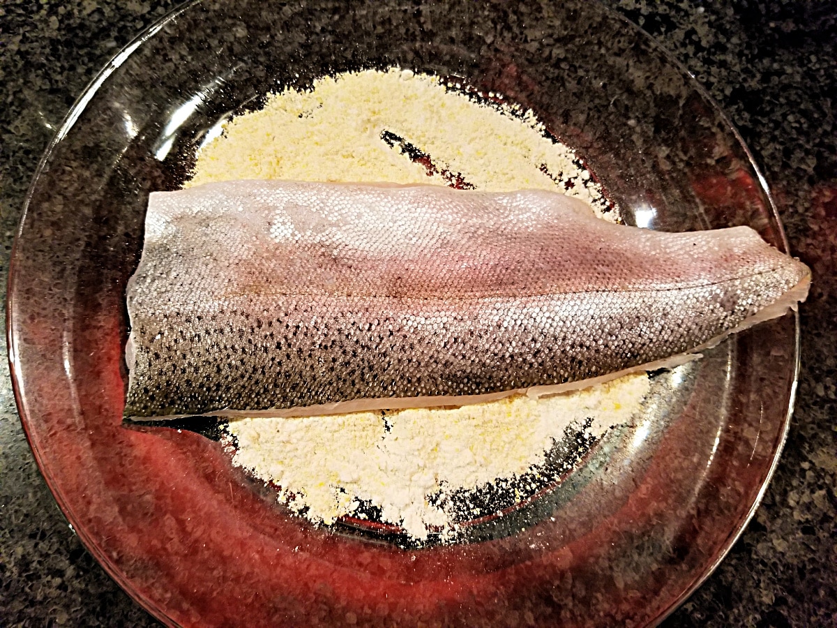 coat trout