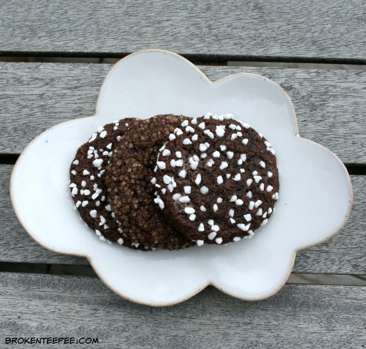Classic Chocolate Cookies, baking for the firemen