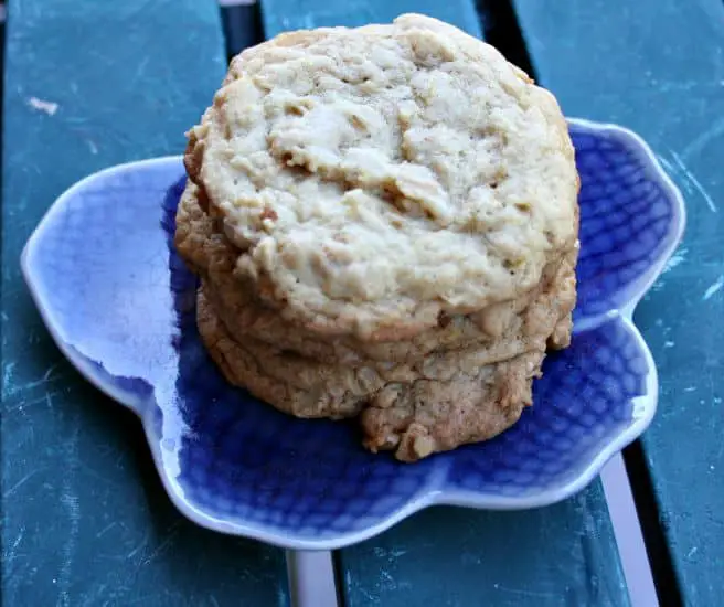 Orange Oatmeal Chews From Get Your Bake On by Brian Emmett