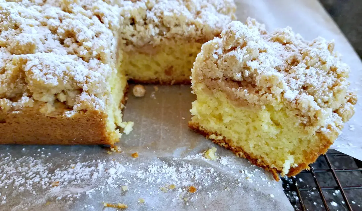 New York Crumb Cake with a Cinnamon Crumb Topping