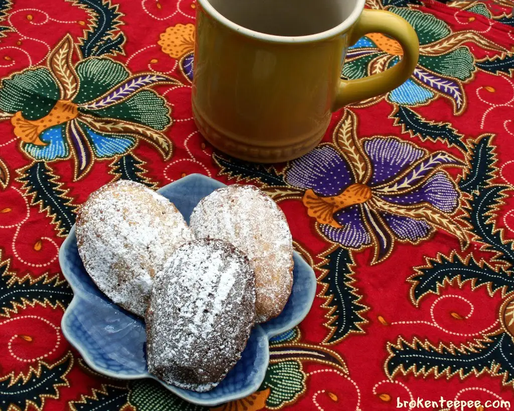 Madeleines Recipe – a Classic French Cookie/Cake