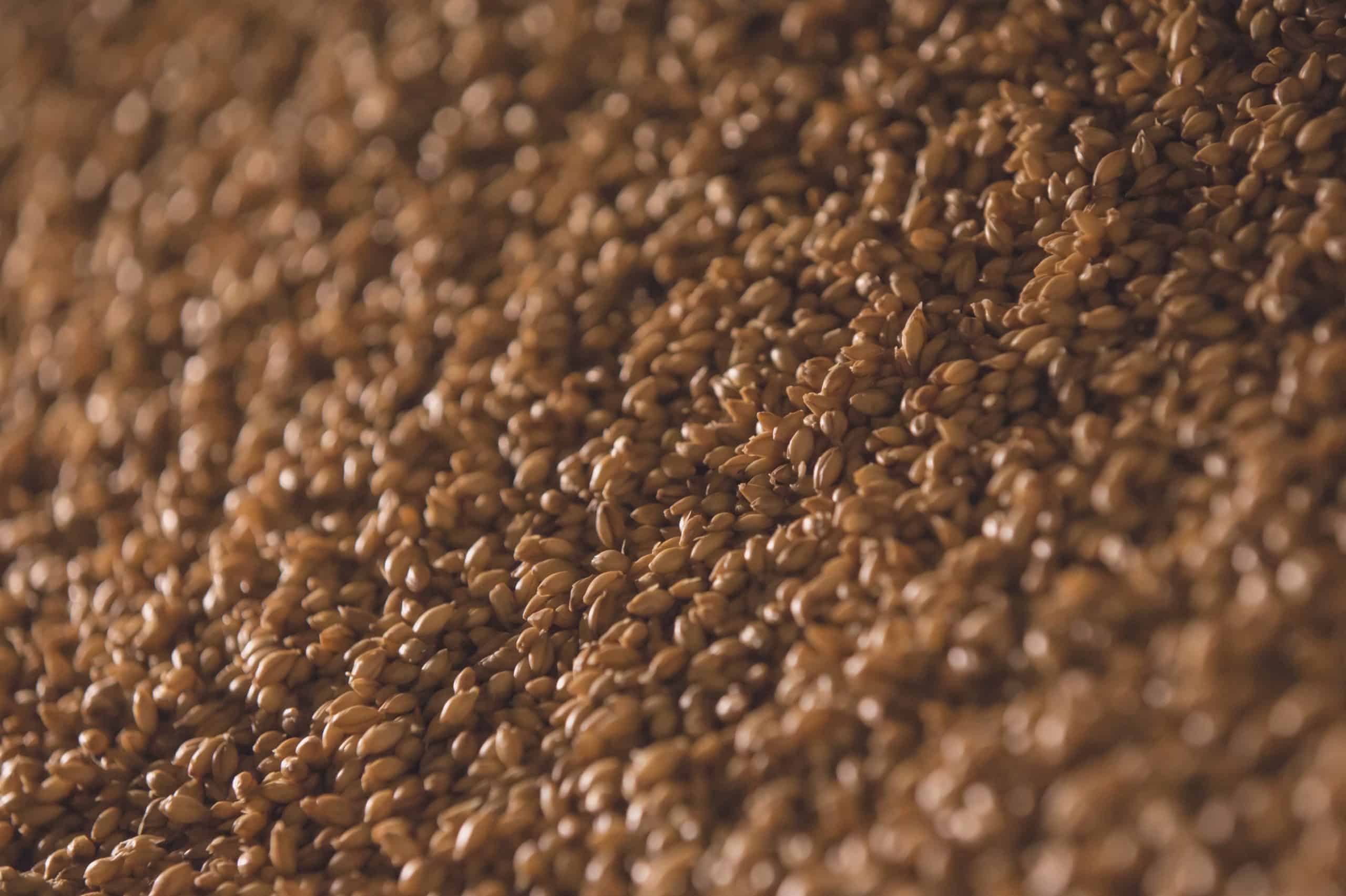 malt