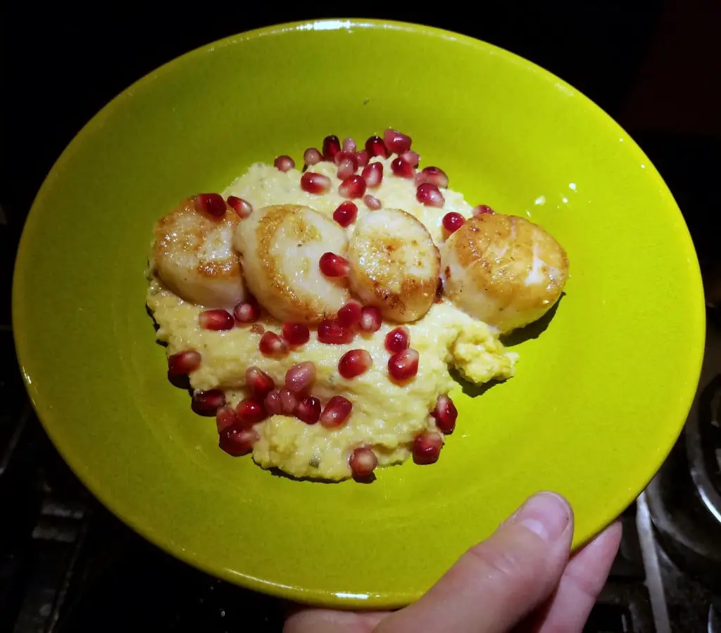 Seared Scallops on Cauliflower Puree with Pomegranate Seeds