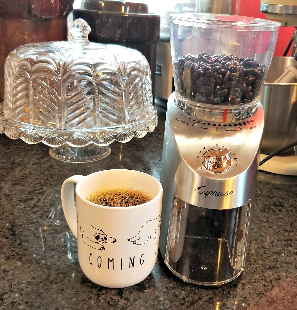 Capresso Infinity Plus V2 Conical Burr Grinder